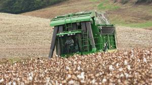On National Farmers Day, farm stuck in limbo
